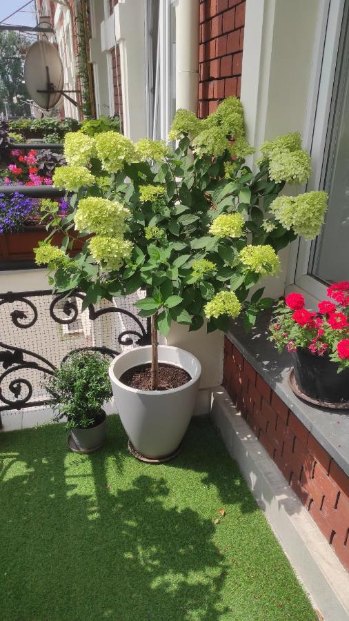 Apartament Przy Galerii Forum Gliwice Witkiewicza Esterno foto